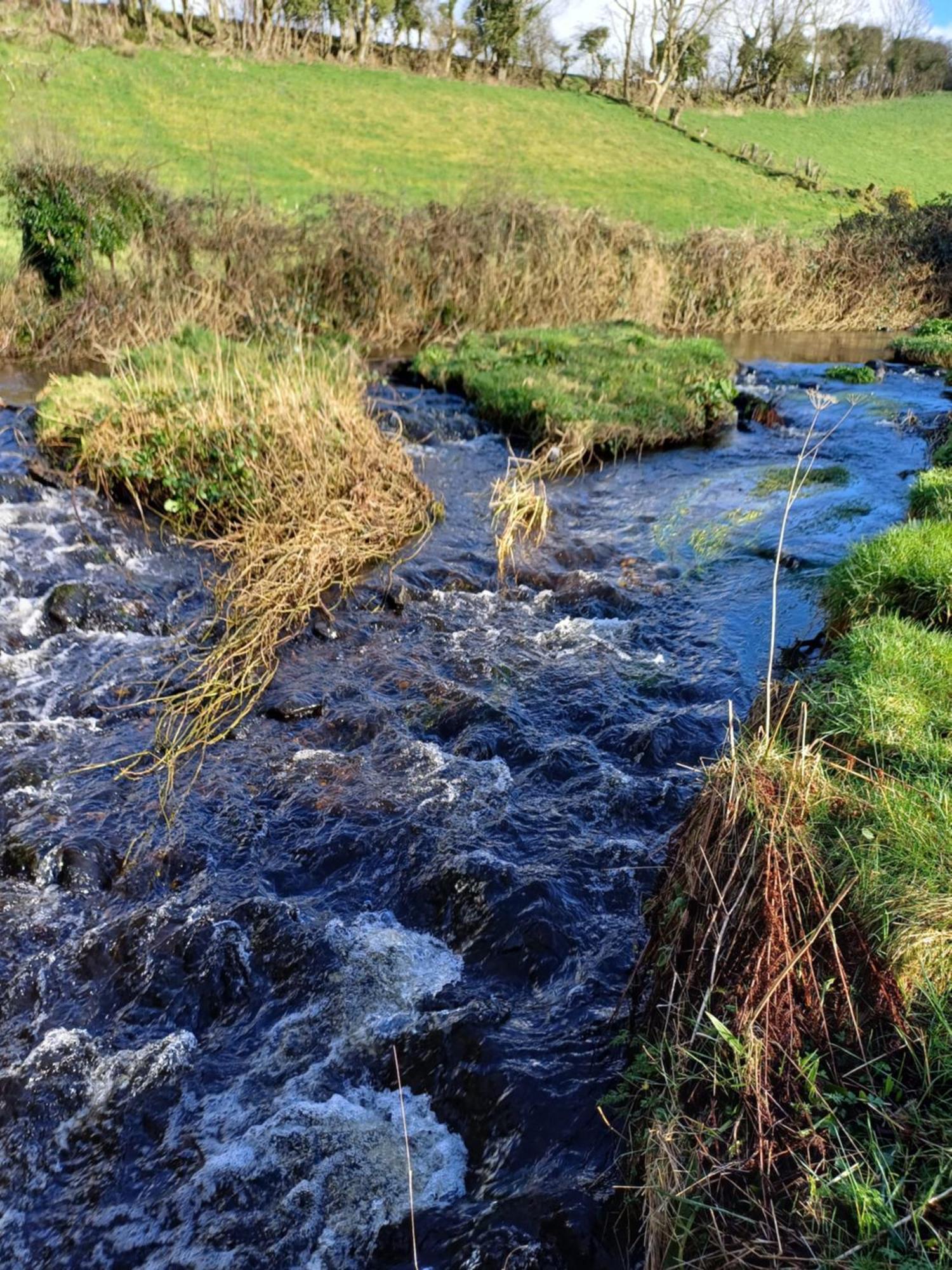 Little River Glamping Ballymoney Exterior foto